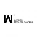 Hospital Mesa del Castillo